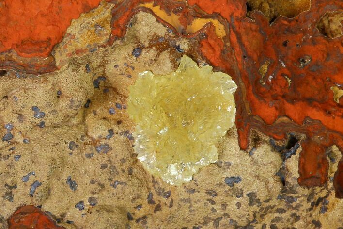 Yellow-Green Austinite Crystal Cluster - Durango, Mexico #154704